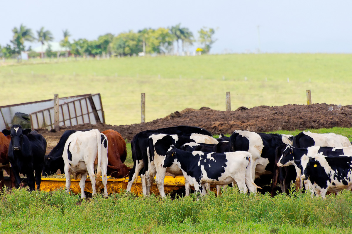 Farm Insurance Ohio